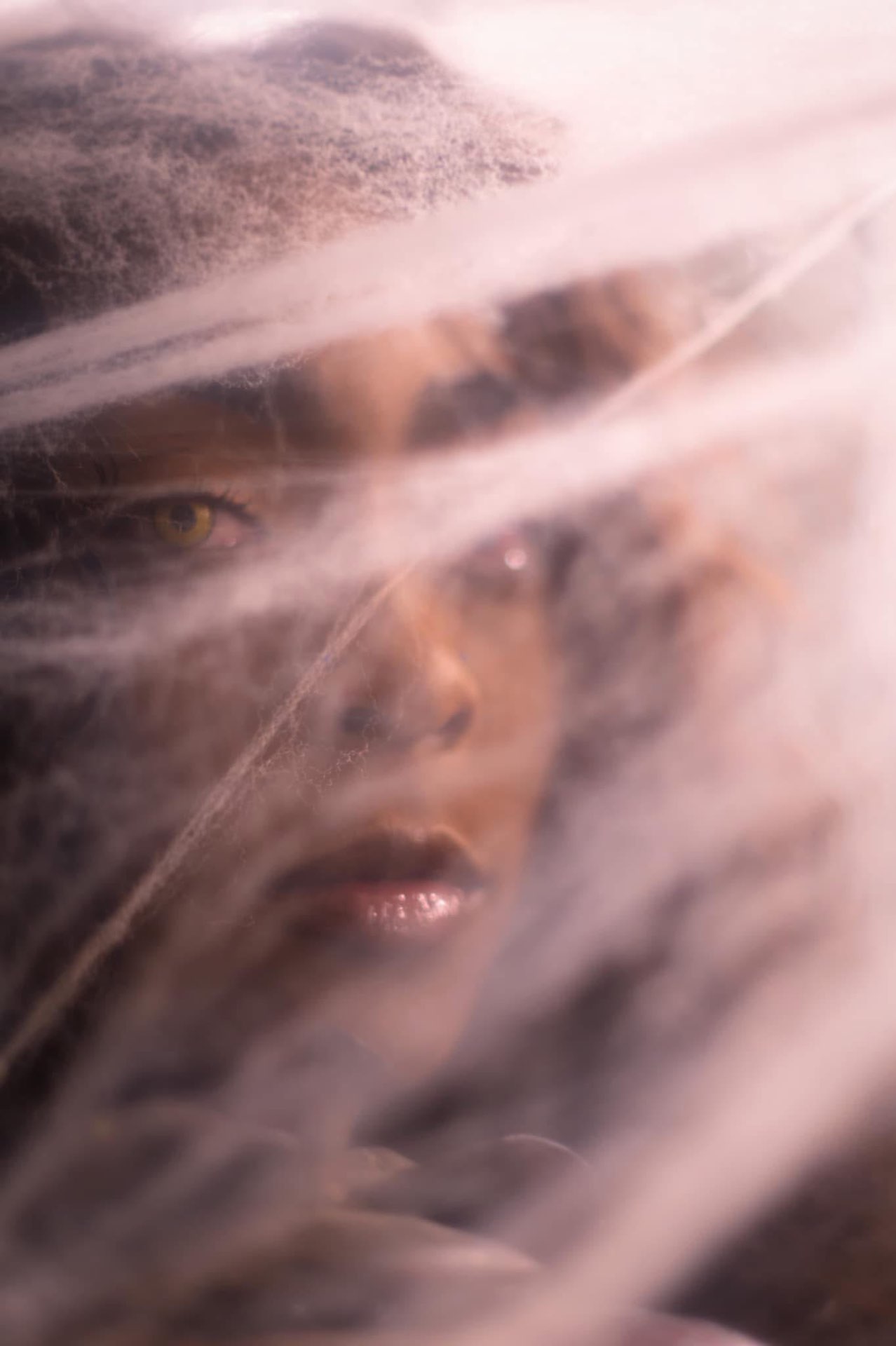 Veiled in Silk